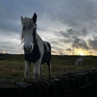 YorkshireandMore (@yorkshireanmore) 's Twitter Profile