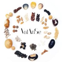 VALANSE Food (@valanse_food) 's Twitter Profile