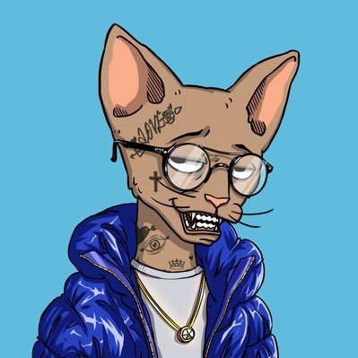 Elbbert.solさんのプロフィール画像