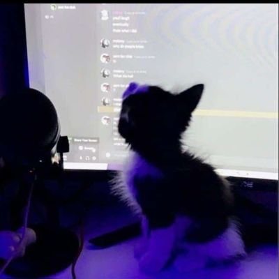 Yato_kun77's profile picture. don't cry i'm just a phase