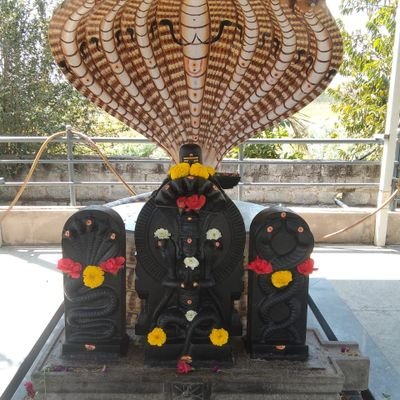 Mrityun53492311's profile picture. 