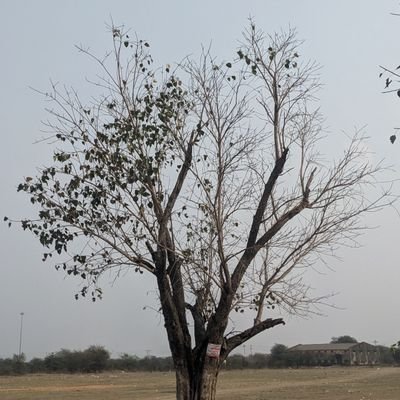 battleofbharat's profile picture. It's battle of Ideology.