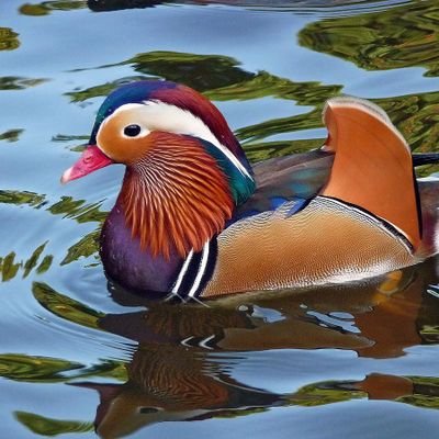 Zbraaaaaaaaaa's profile picture. 