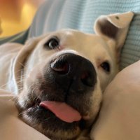 MarleyCreek (@creekmarley) 's Twitter Profile Photo