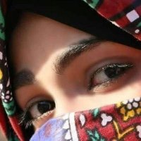 أيقونة الشعر (@aigonh222) 's Twitter Profile