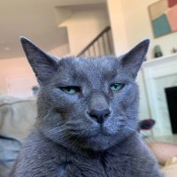 Neal Boudette (@nealboudette) 's Twitter Profile