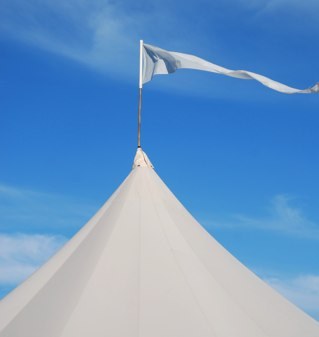 newtoncase's profile picture. 