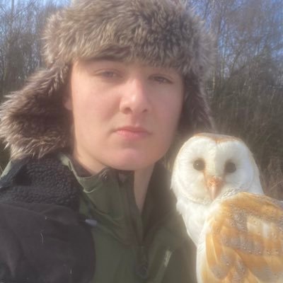🇬🇧18 year old Wildlife Photographer, particular interest in Owls and birds of prey