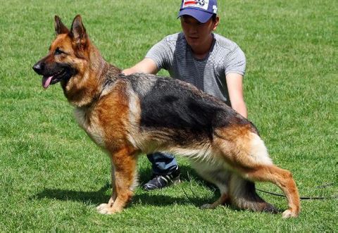 VomCouceiro's profile picture. 