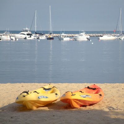 IleanaV1001's profile picture. 