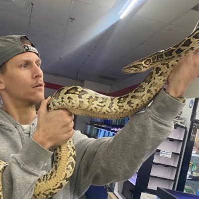 David11633604's profile picture. Gamer - Mechanic - Dad