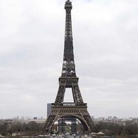 تغريدات فرنسية (@frenchtwit1) 's Twitter Profile