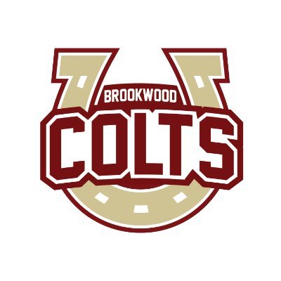 Brookwood Elementary is in the Brookwood Cluster in the Gwinnett County Public School System. We are a K-5 school serving approximately 1,500 students.