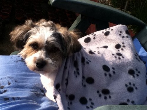 maisie090909's profile picture. 