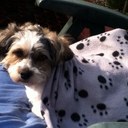 fiona cormack - @maisie090909 - Twitter