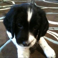 SkiMaverickVC (@skimaverickvc) 's Twitter Profile Photo SkiMaverickVC (@skimaverickvc) 's Twitter Profile Photo