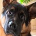 Marcelo Pereira Dias (@marcelo96947038) Twitter profile photo Marcelo Pereira Dias (@marcelo96947038) Twitter profile photo