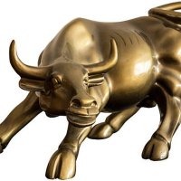 Street~Bull(@pratikpareekbkn) 's Twitter Profile Photo