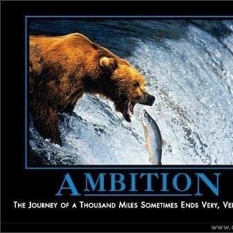 frostonthemoon's profile picture. 