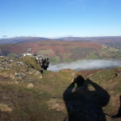 carolkennison's profile picture. Botany, birds, nature in general, gardening, creative arts, long walks