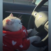 Ana J Meyer (@ansjudy) 's Twitter Profile