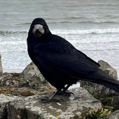 Mart23478's profile picture. 