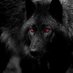 Serkan Özgün (@serkanz62279340) Twitter profile photo Serkan Özgün (@serkanz62279340) Twitter profile photo