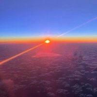 sylbdx (@sylbdx) 's Twitter Profile