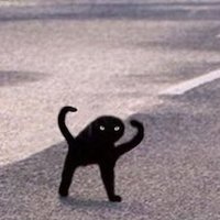 Mark Sibley (@mnsibley) 's Twitter Profile
