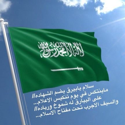 عاشق بلادي🇸🇦🕊 Profile