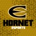Hornet Esports (@esu_esports) Twitter profile photo Hornet Esports (@esu_esports) Twitter profile photo