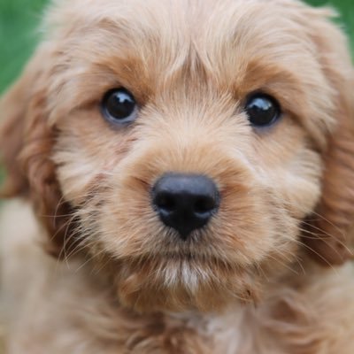 @paul_beee