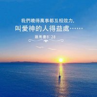 一个新人 (@god77774) 's Twitter Profile