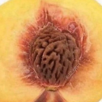 steezlydan's profile picture. 