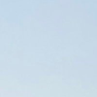 ︎ ︎︎︎︎︎y (@ry____17) 's Twitter Profile