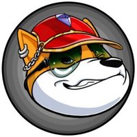 Shiba Gangs (@shibagangs) 's Twitter Profile Photo Shiba Gangs (@shibagangs) 's Twitter Profile Photo