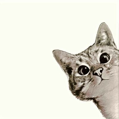 JillMHarrison66's profile picture. Feminist/Humanist/Socialist/Felinophile/ Barren/Broken/Mostly Harmless She/It/TheCat'sMother Resident of Europe/Citizen of Earth/Child of Time🌈🇪🌹♿️😼👩🏼‍🎤