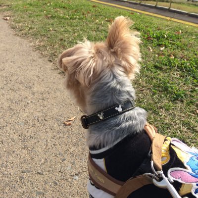 yu_rink0904's profile picture. 優里くん大好きです😍ゆーりんちの友達ほしいので気軽に話しかけてください！