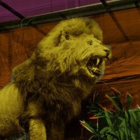 Paisley Museum (@paisleymuseum) 's Twitter Profile Photo Paisley Museum (@paisleymuseum) 's Twitter Profile Photo