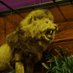 Paisley Museum (@paisleymuseum) Twitter profile photo Paisley Museum (@paisleymuseum) Twitter profile photo