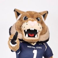 Champ Bobcat (@champ_bobcat) 's Twitter Profile
