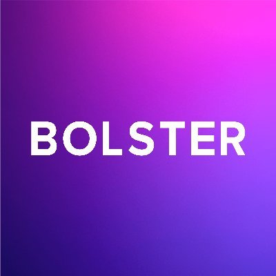 BolsterAI Profile Picture