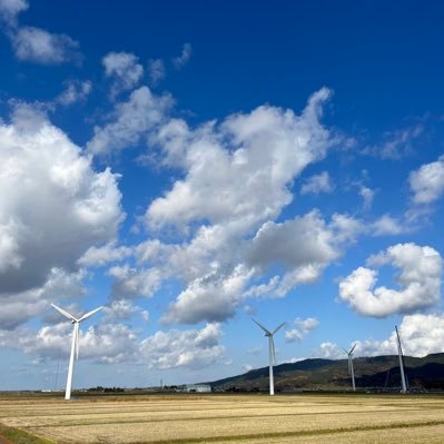 訪問介護。楽しくお仕事しています。