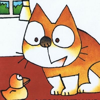 MauletSocarrat's profile picture. 