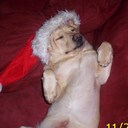 jamie slate - @prfslate - Twitter