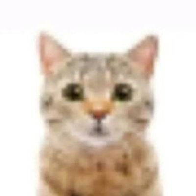 wh0ya3l's profile picture. 