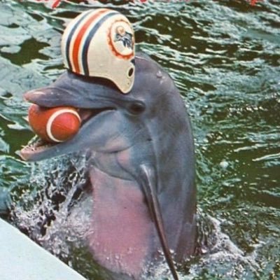 Lifelong Dolphins fan. #Finsup