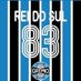 Rei do Sul (@ReidoSul1) Twitter profile photo