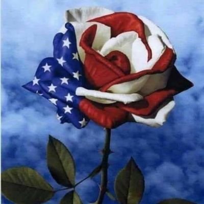amyutt86's profile picture. 