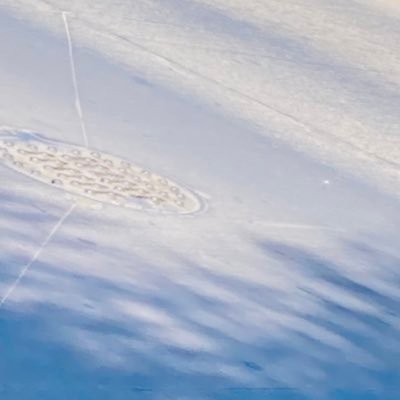 Guito507's profile picture. Un globito de emociones en este mundo de alfileres 🎈